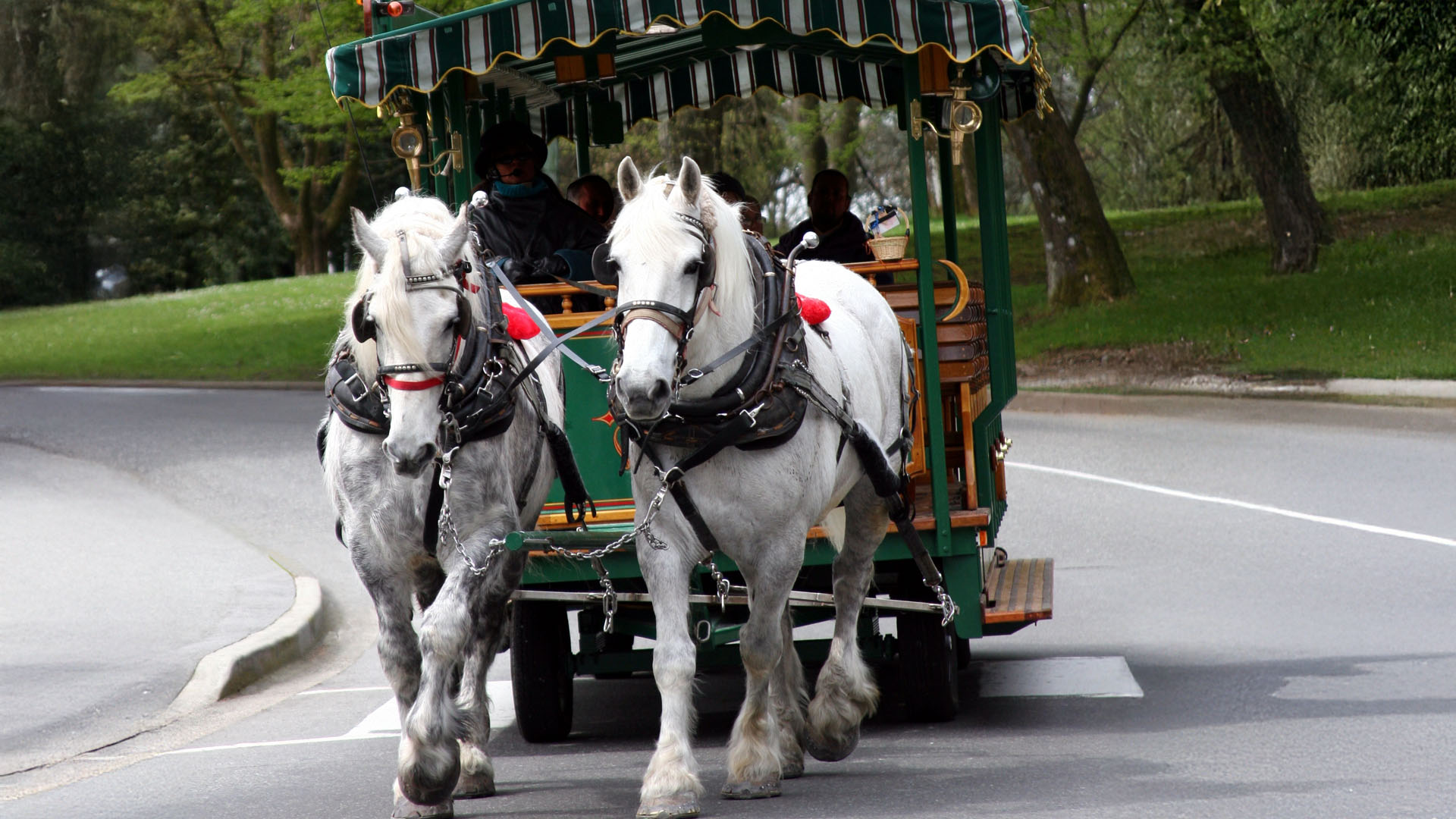 Horse And Carriage In Stanley Park