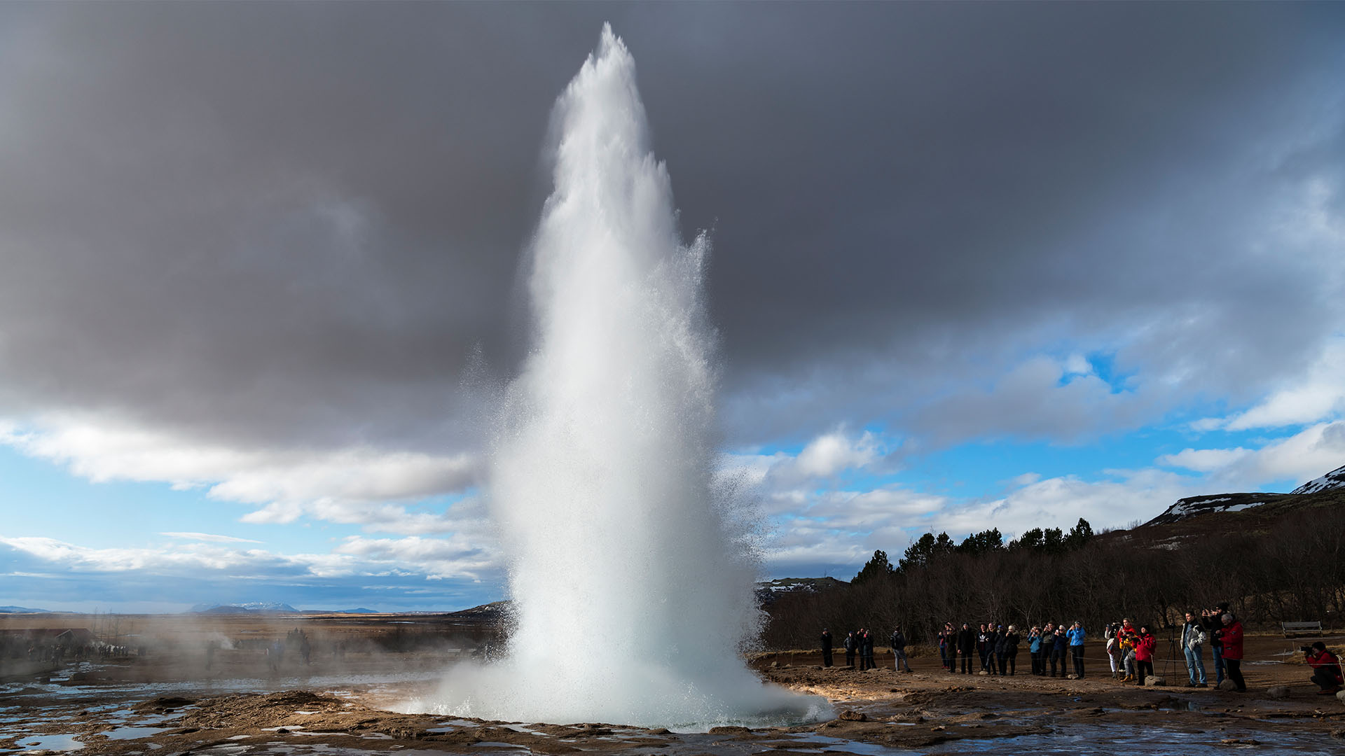 Geysir erupting in Iceland’s geothermal landscape
