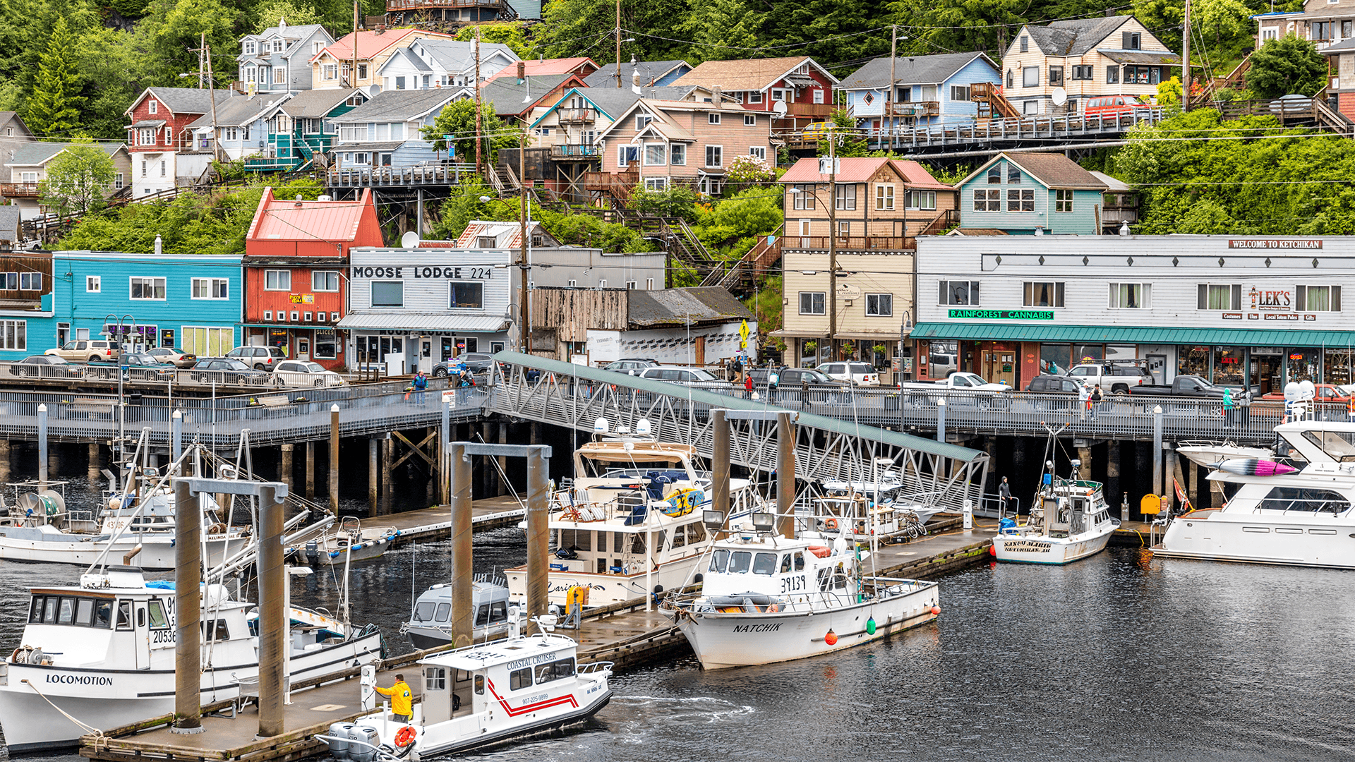 Harbour with fishing boats and colourful buildings