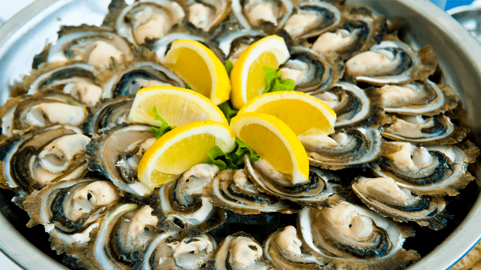 Adriatic Oysters