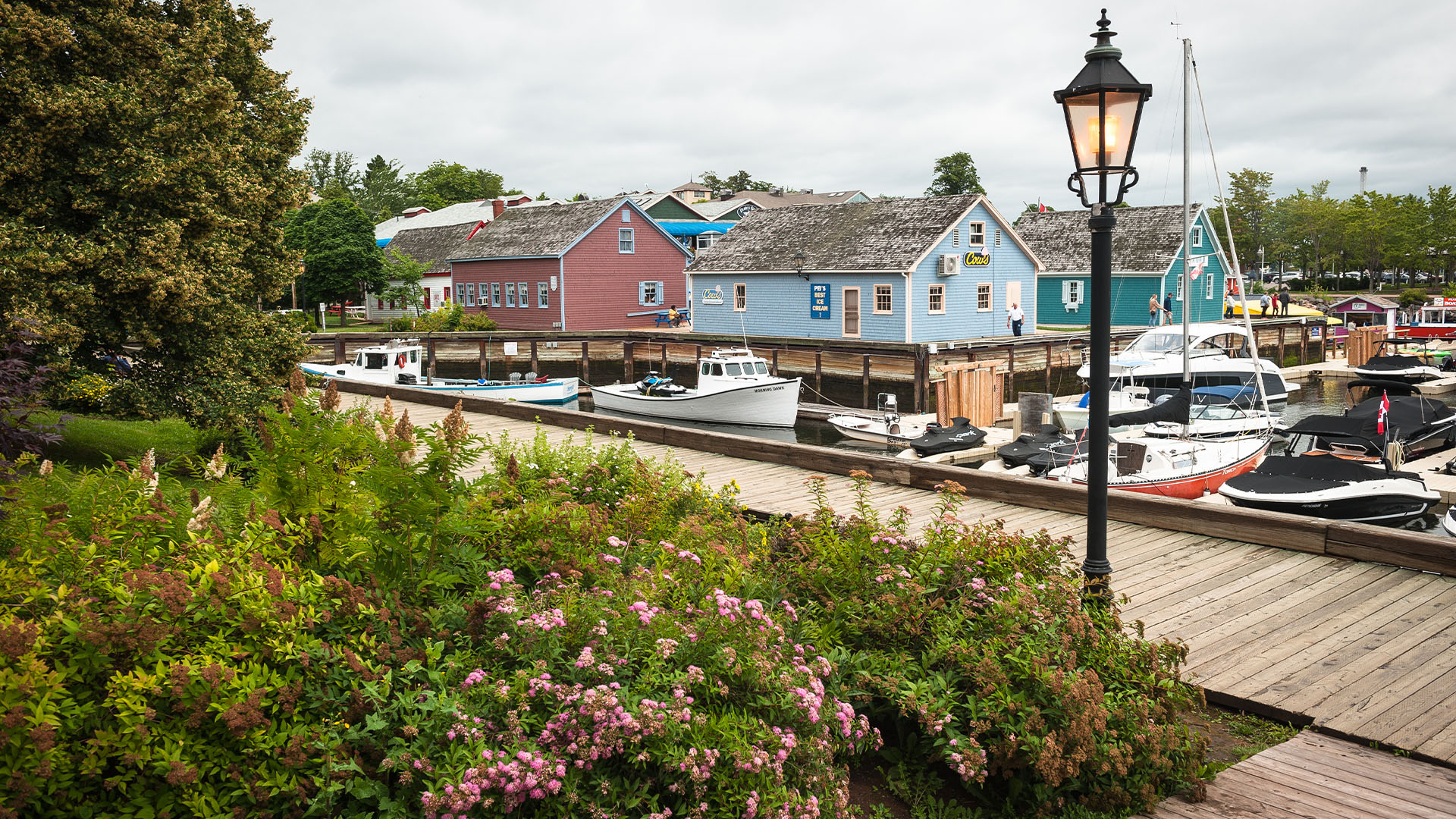 Boats in a small harbour along the waterfront
