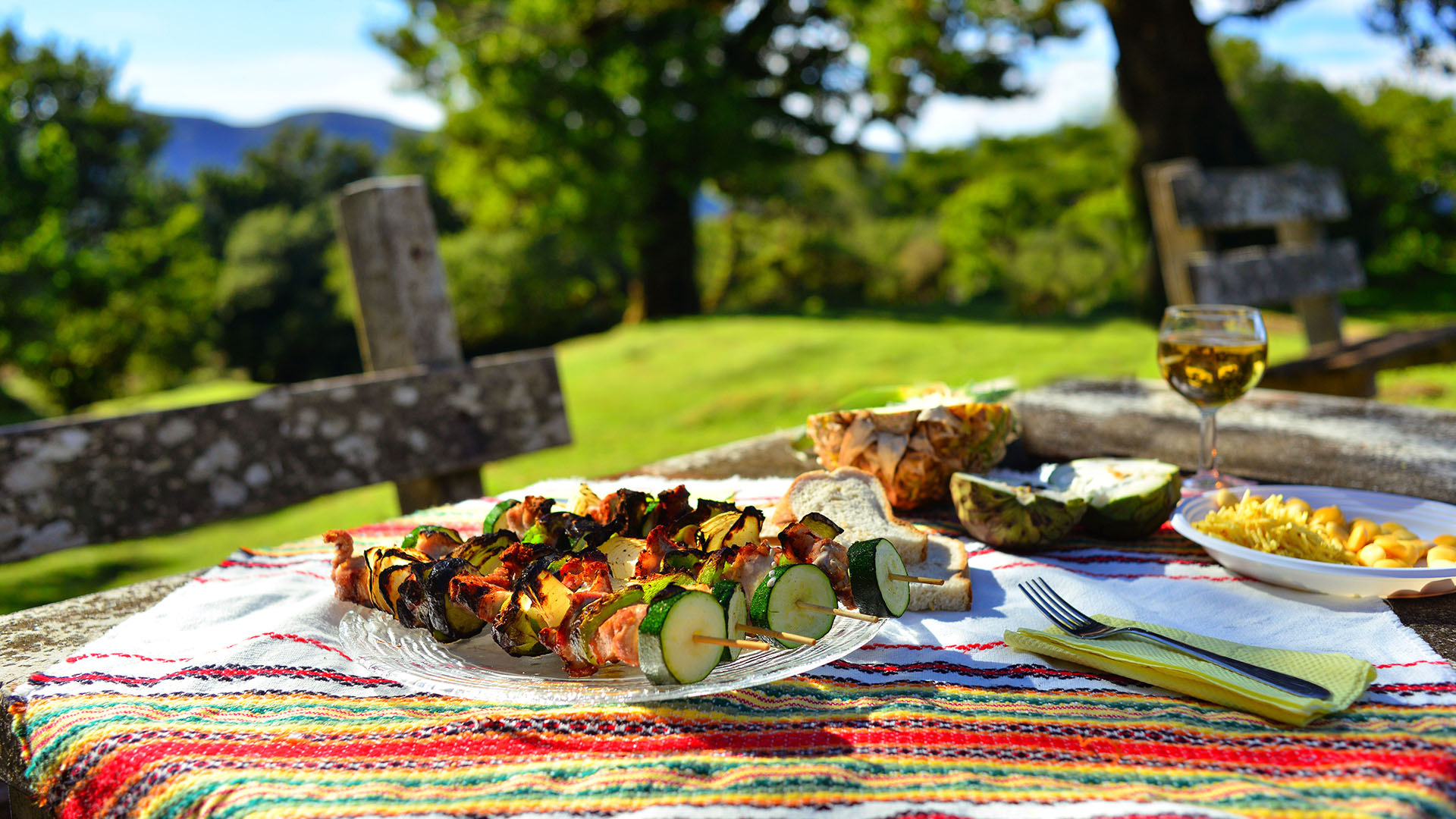 Outdoor picnic table with plated grilled meat and vegetables