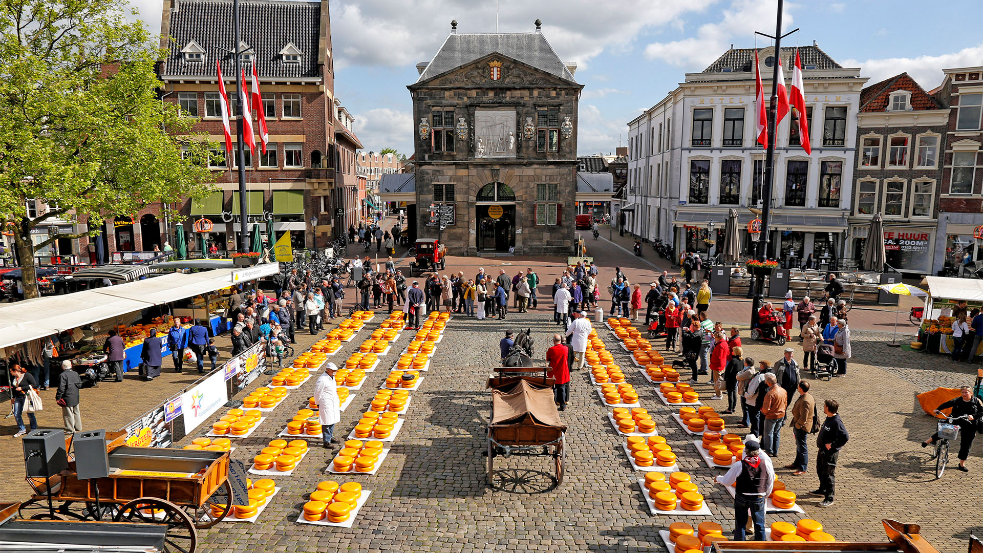 Rows of Gouda cheese at an outdoor market