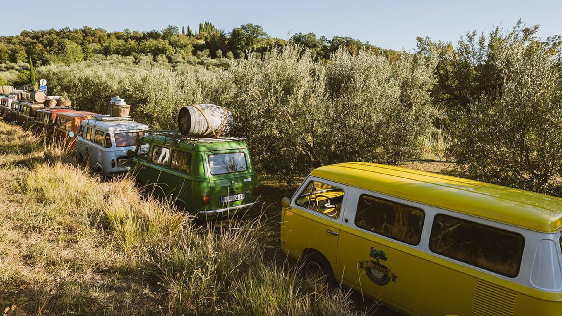 Ripe olives on an outdoor table next to bottled oil