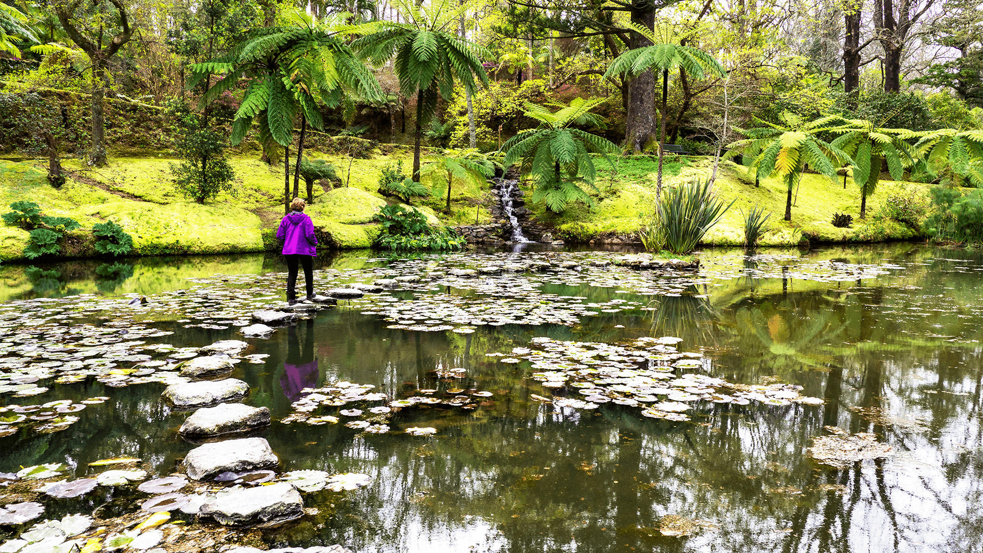 Woman on river stepping stones in a tropical botanical garden 