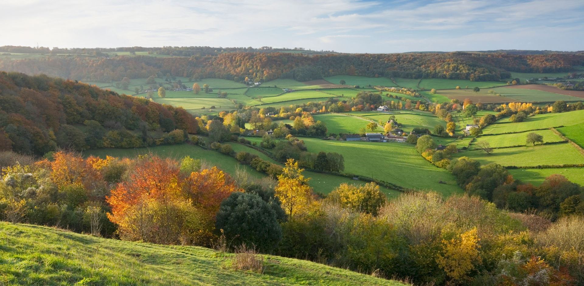 The lush, rolling hills of the Cotswolds in summer