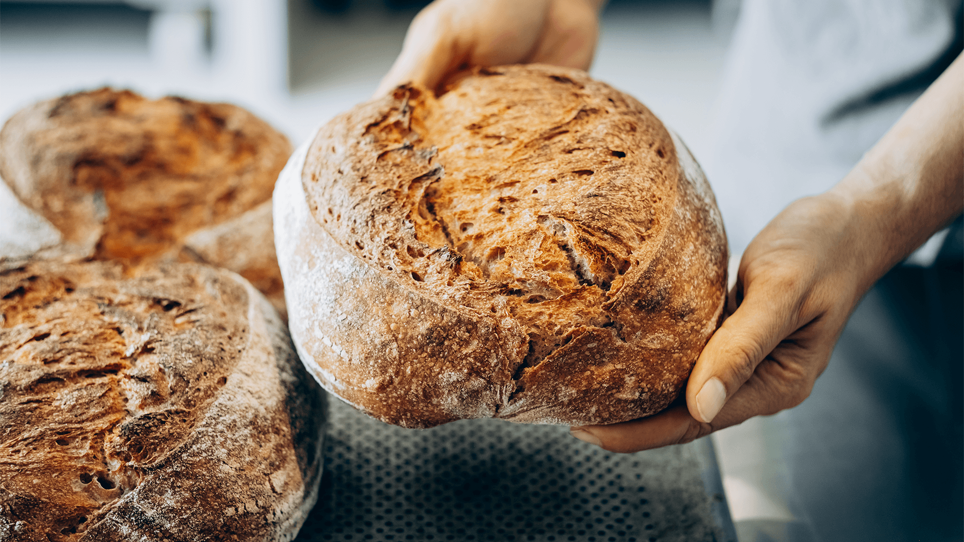 Close-up of hands holding a freshly baked bread loaf