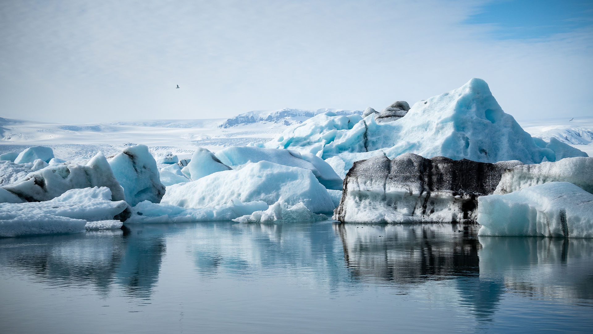 Blue icebergs floating at Jökulsárlón Glacier Lagoon