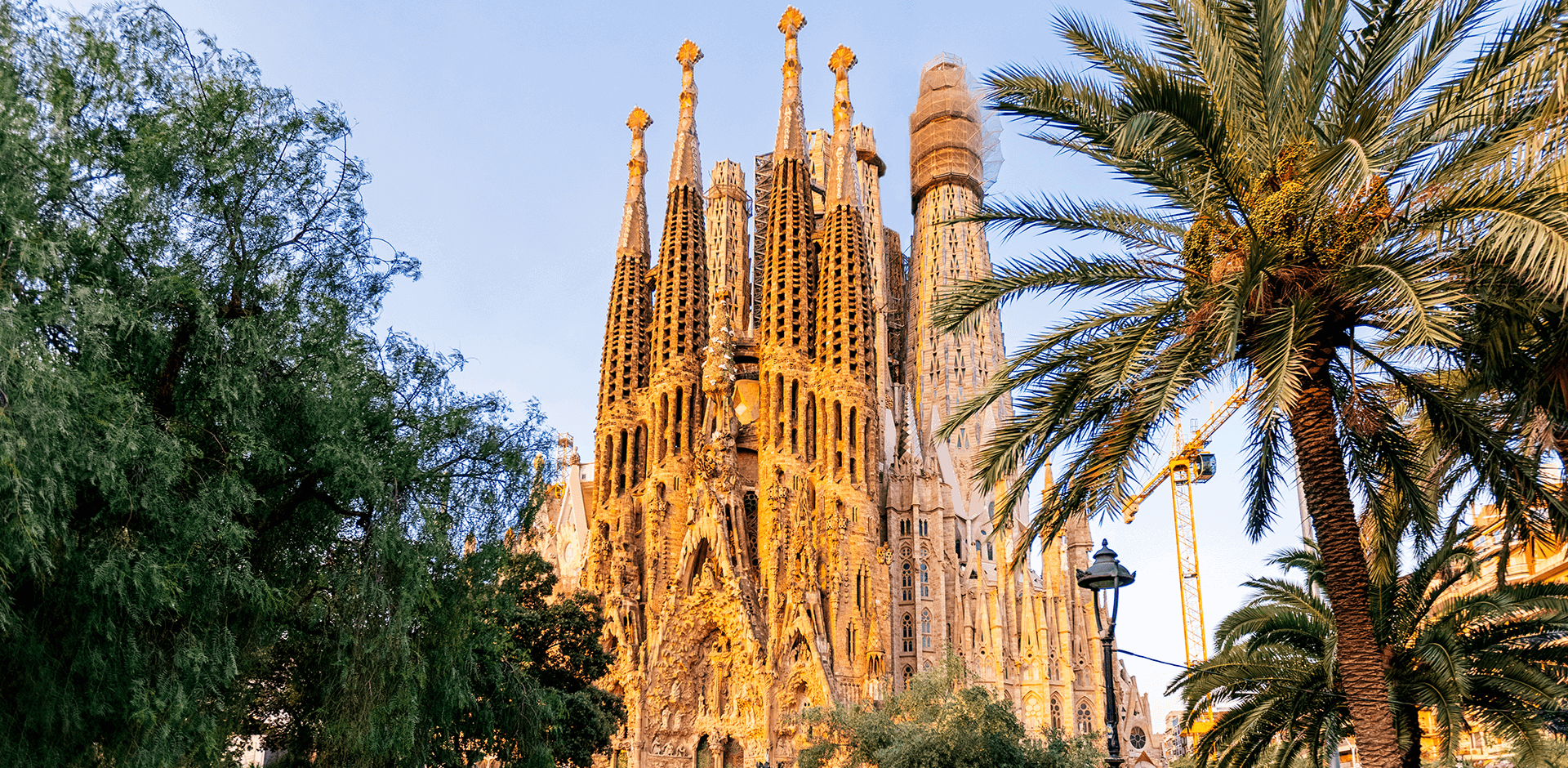 Sagrada Familia basilica surrounded by palm trees