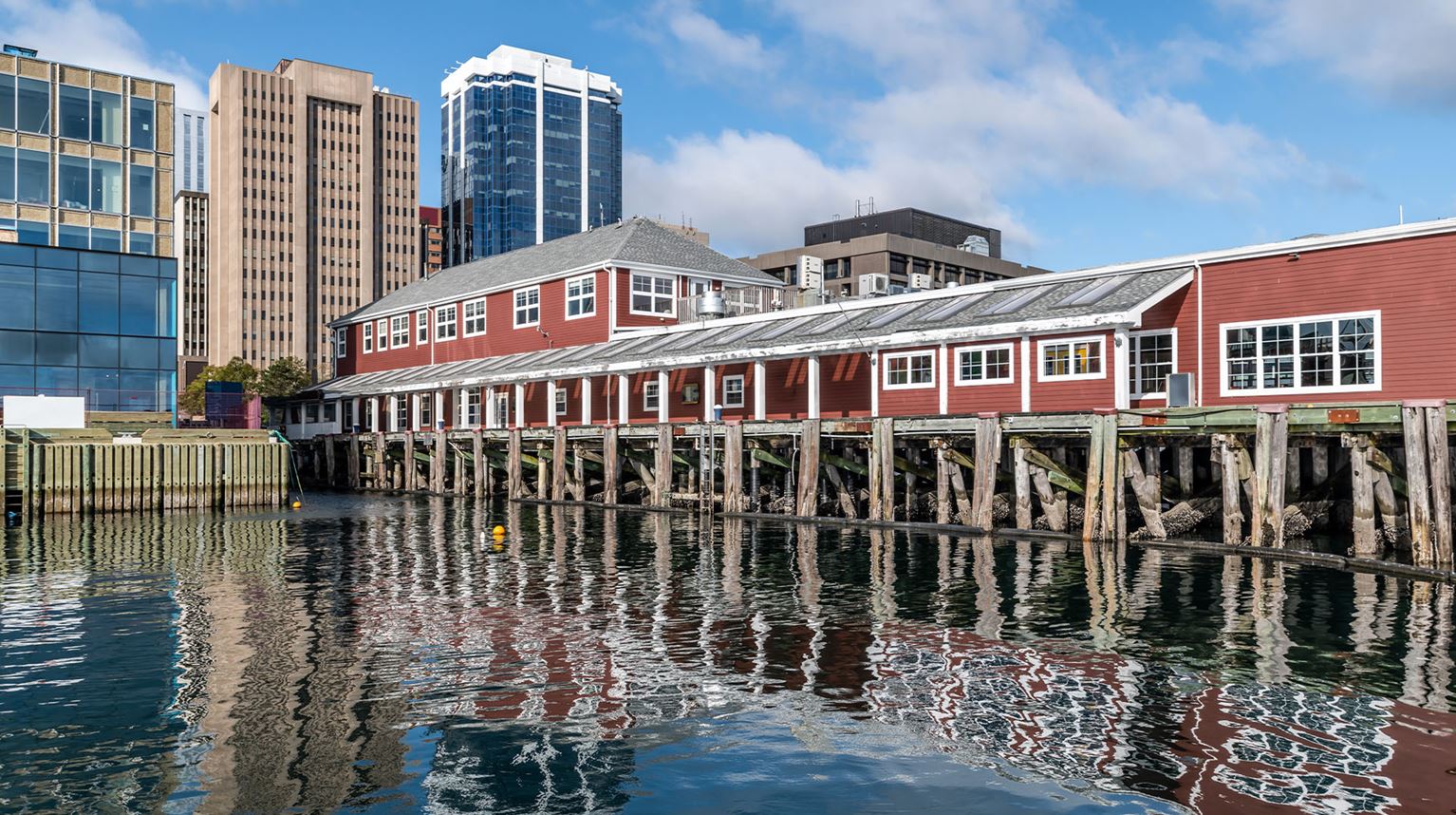 Waterfront buildings with the city skyline behind