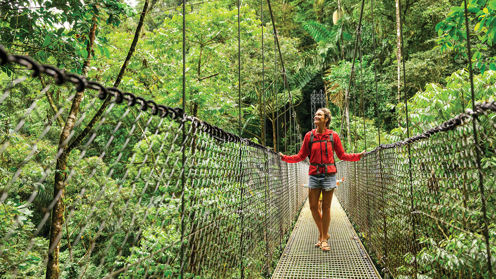 Hiker on a suspension bridge looking at tropical trees. 